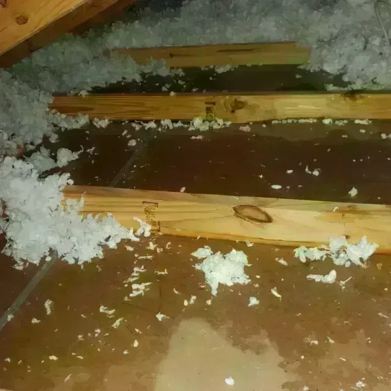 Attic Water Damage in Hurricane, WV