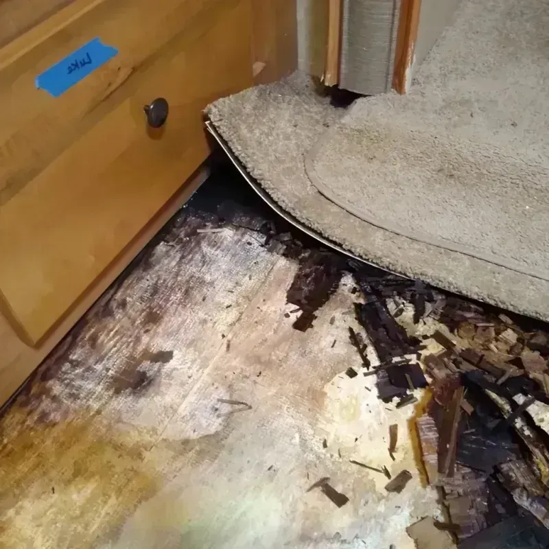 Wood Floor Water Damage in Hurricane, WV